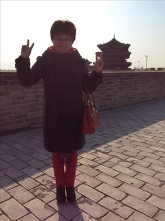 宝藏寻踪免费观看