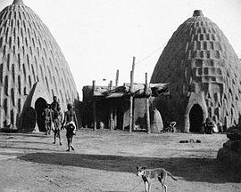 刚果之行免费观看