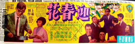 迎春花免费观看