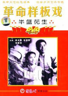 半篮花生免费观看