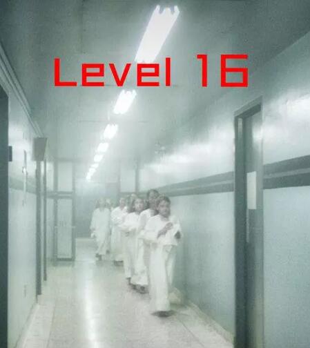 芳龄十六免费观看