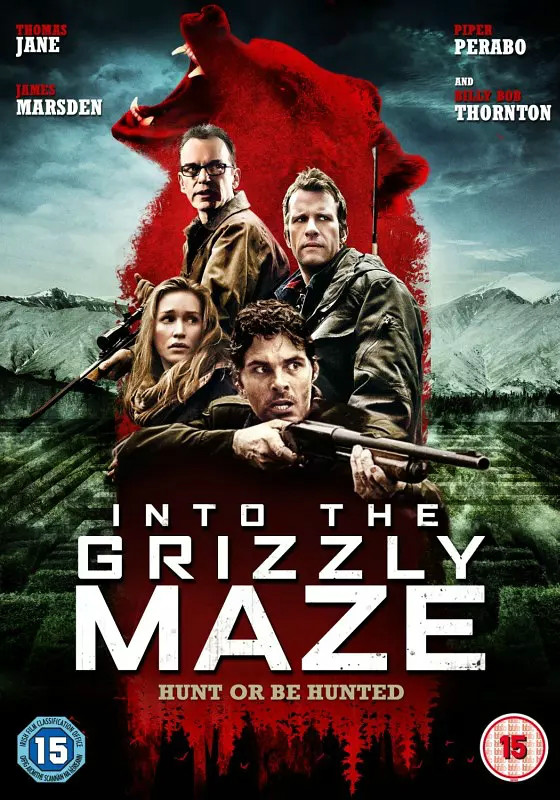 嗜血灰熊免费观看