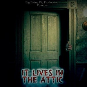 它住在阁楼上免费观看