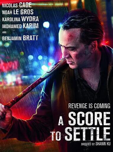 报仇雪恨免费观看