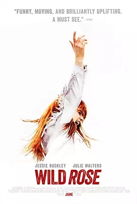 野玫瑰免费观看