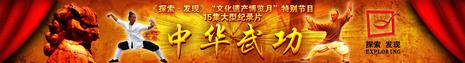 中华武术免费观看