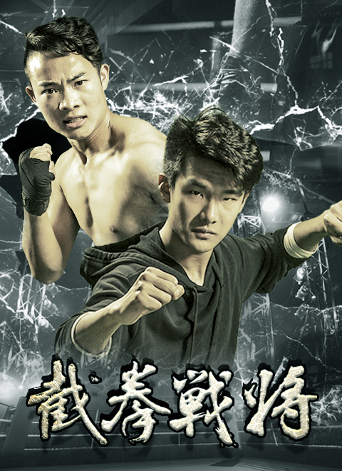 截拳战将免费观看