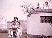 墙头马上免费观看