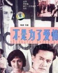 不是为了爱情免费观看