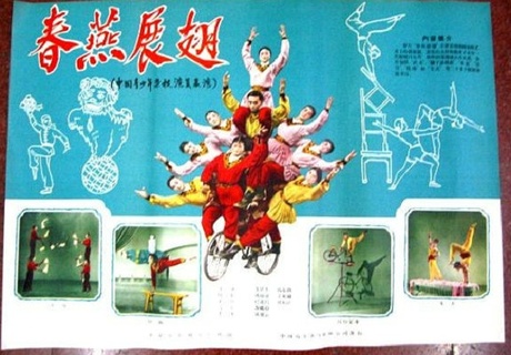 春燕展翅免费观看