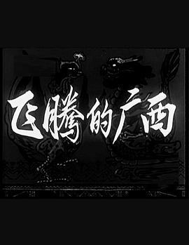 飞腾的广西免费观看