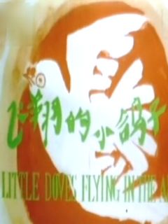 飞翔的小鸽子免费观看