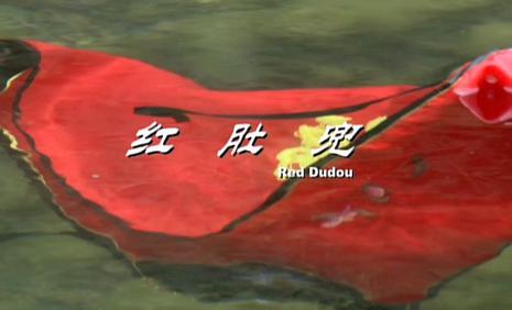 红肚兜免费观看