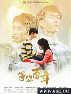 等你百年免费观看