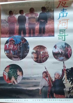 应声阿哥免费观看