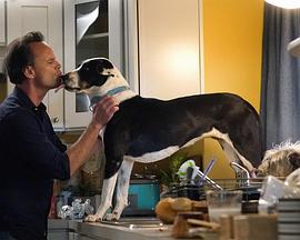 神兽第一季免费观看