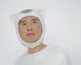 今日的猫村小姐免费观看