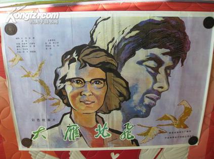 大雁北飞免费观看