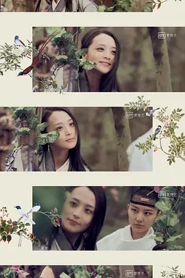 少年忍师—司徒家2免费观看