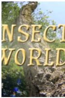 昆虫世界免费观看