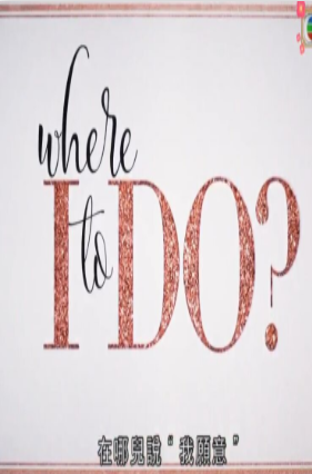 我的完美婚礼免费观看