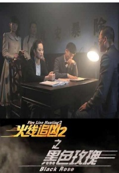 火线追凶2之黑色玫瑰免费观看