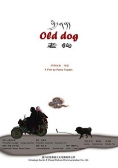 老狗免费观看