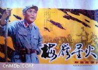 梅岭星火免费观看