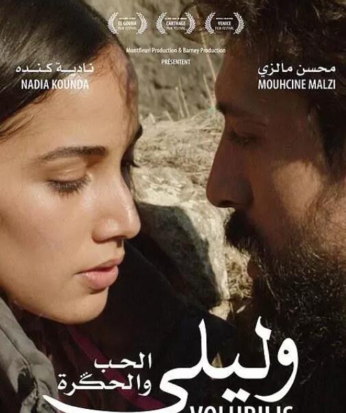 瓦卢比利斯情事免费观看