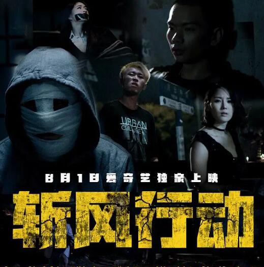 斩风行动免费观看