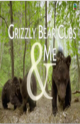 亲亲小灰熊免费观看