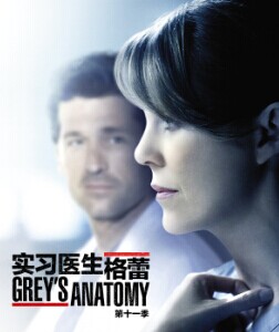 实习医生格蕾第十一季免费观看