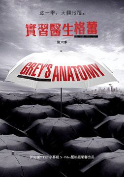 实习医生格蕾第六季免费观看