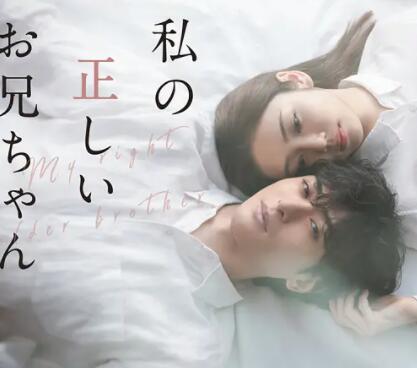 真实的哥哥免费观看