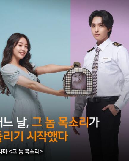 那个家伙的声音免费观看