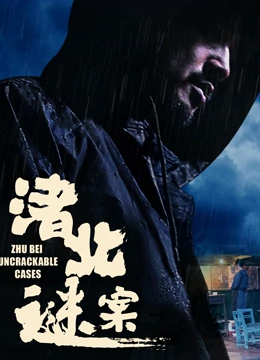 渚北谜案免费观看