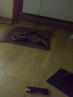 ，和骚逼女友的一天7..免费观看