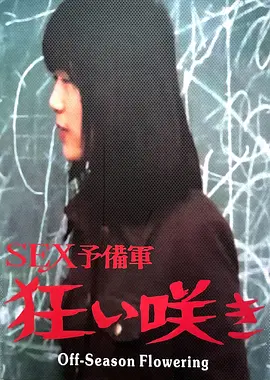 淡季花开免费观看